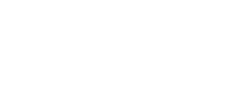 zimt logo